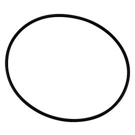 Pentair 154493 O- Ring Closure for Triton Filter