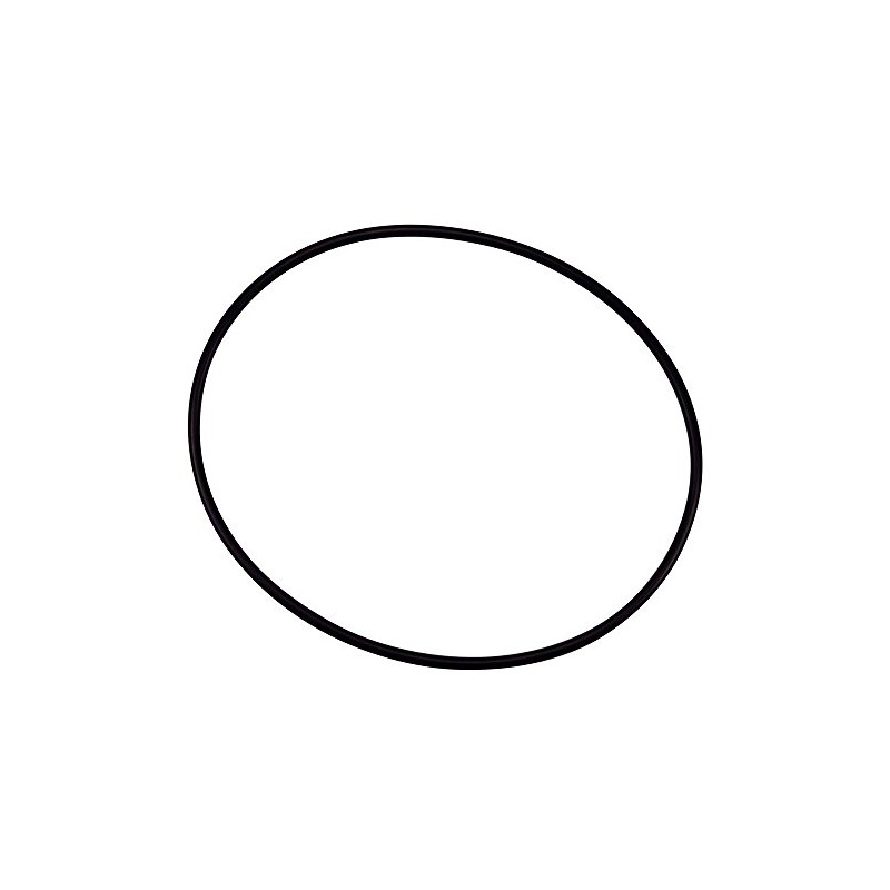 Pentair 154493 O- Ring Closure for Triton Filter