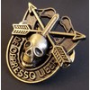 Special Forces Skull Crest DI Pin Uniform US Army SF