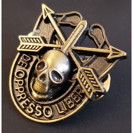Special Forces Skull Crest DI Pin Uniform US Army SF Airborne SOG Insignia Antique 1 1/4"
