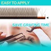 W Lash Extensions 3D Eyelash Extensions Volume Premade Fan Individual