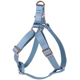 Lionet Paws Dog Harness, No-Pull Adjustable Silk Nylon Webbing Pet Harness with Metal Buckle for Small Dogs Easy Walking, Blue, S