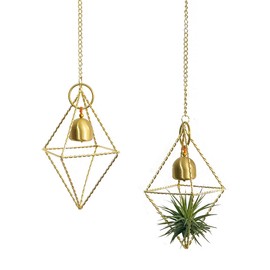 libproqia Gold Hanging Air Plants Live Holders,Small Airplants Plant Holders Unique, 2 Pcs Twisted Iron Wire Airferns Display Planter with Copper Bell Indoor/Outdoor