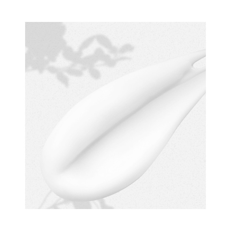 APLB 레티놀 비타민C 비타민E 바디로션, 300ml, 1개 APLB Retinol Vitamin