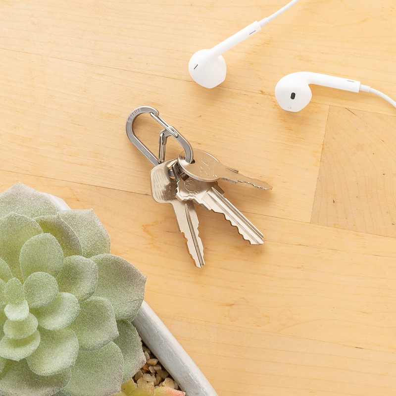 NITEIZE G Carabiner #1 Stainless Silver 2-Piece Small