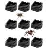 9 PCS Spider Micro Water Bowls, Mini Resin Dishes for