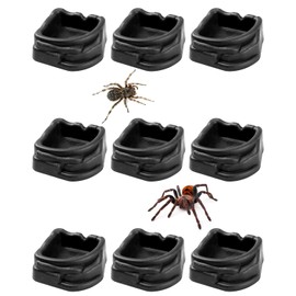 9 PCS Spider Micro Water Bowls, Mini Resin Dishes for Tarantulas, Spiders, Hermit Crabs, Millipedes and Tiny Reptiles, for Food & Water