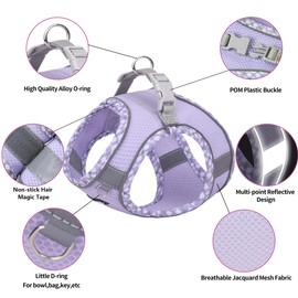 AIITLE Small Dog Harness, No-Pull Pet Harness with a Leash, Step in Dog Harness with Breathable Mesh and Quick-Release Buckle, Reflective Outdoor Pet Vest for Extra Small Dogs Purple XXS