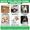 Probiotics for Dogs - Digestive Health and Immune Support, Dog