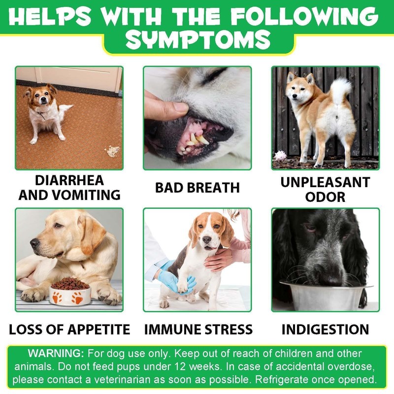 Probiotics for Dogs - Digestive Health and Immune Support, Dog