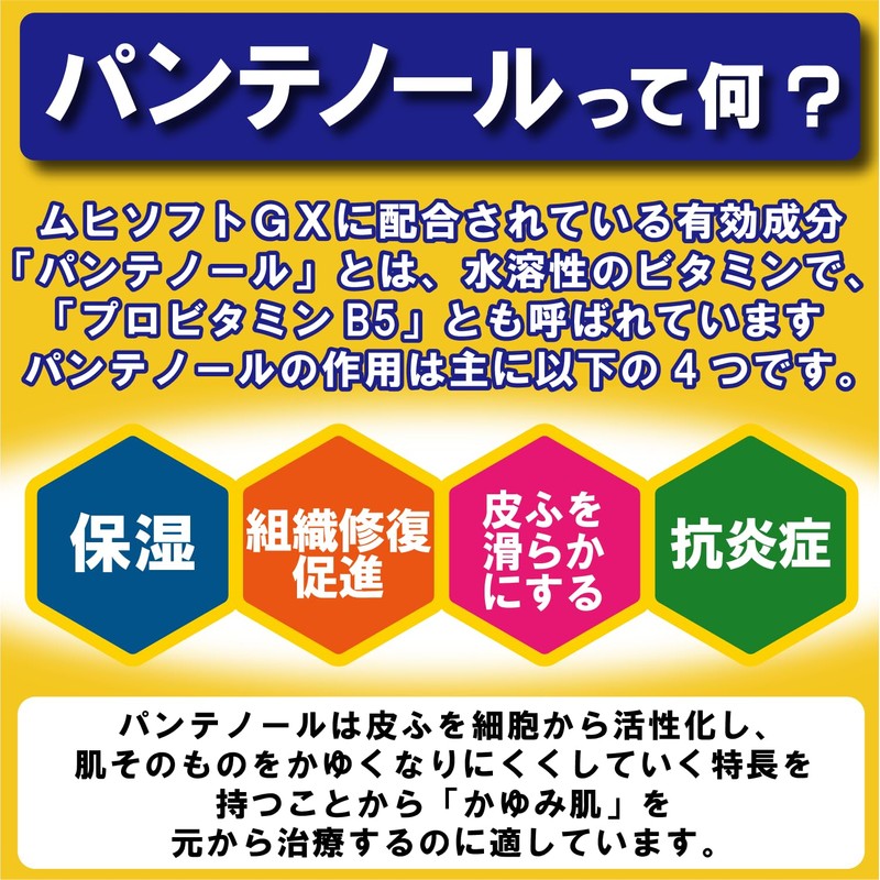 【第3類医薬品】かゆみ肌の治療薬 ムヒソフトGX乳状液 120mL