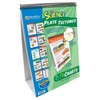 NewPath Learning Plate Tectonics Flip Chart Set, 34-6823