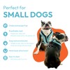 Gooby Comfort X One Dog Harness - Head-in Dog Harness