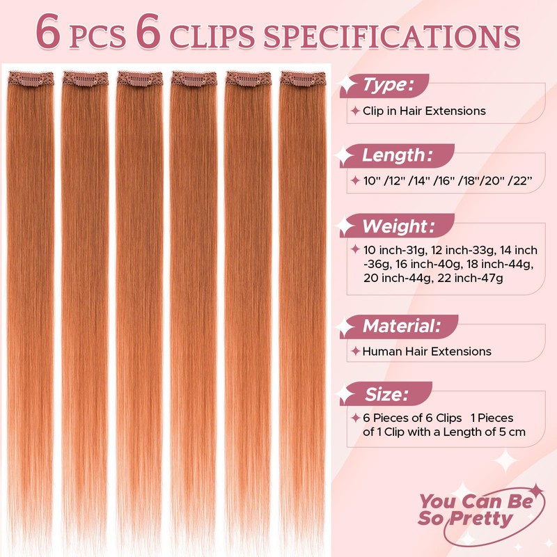 SEGOHAIR Clip in Hair Extensions Real Human Hair 6Pcs Copper