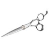 Brand: Aolanduo, 6 inch scissor for beauty students, Japanese 440C