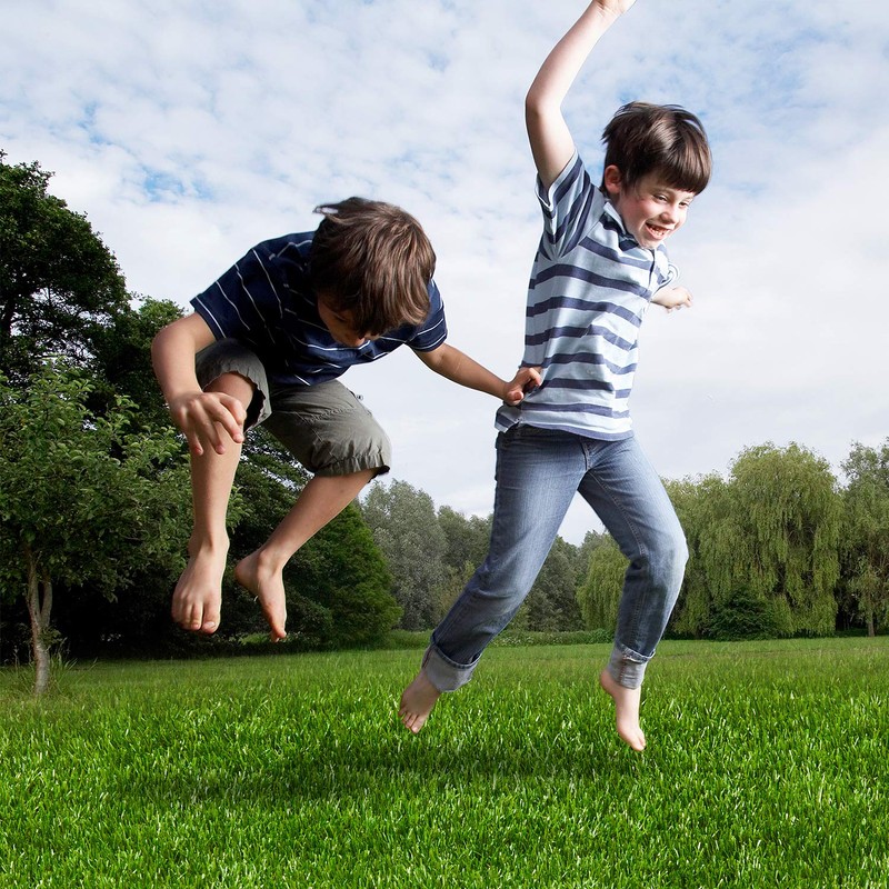 AYOHA Artificial Turf 6' x 7' with Drainage, 1.38 Inch