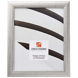 Craig Frames Contemporary, 18x24 Picture Frame, Scratched Silver