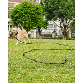 Joytale Training Leads for Dogs, Padded Handle Long Line Dog Lead, 5m 10m 15m 20m Long Leads for Dog Training and Tie Out, Support Up to Dogs Under 45kg, Orange 5M