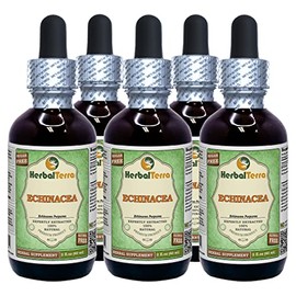 Echinacea (Echinacea Purpurea) Glycerite, Organic Dried Root Alcohol-Free Liquid Extract (Brand Name: HerbalTerra, Proudly Made in USA) 5x2 fl.oz (5x60 ml)