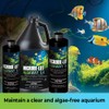 MICROBE-LIFT Algaway 5.4 Algae Remover for Aquariums, Algaecide for Freshwater