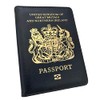 Panther New RFID Blocking British Blue Passport Cover Holder Brexit