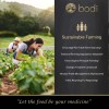 Bodi Polvo Raíz De Maca 100% Puro Natural Adaptógeno 4