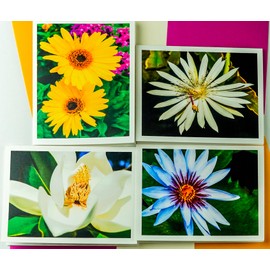 Sunshine Expressions Blooming Flowers Assorted - High End - Photographic Heavy Smooth Note Cards 16 w/18 Colored Envelopes, Boxed Set (4.25"x 5.50") Blank Inside - Made in USA