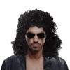 70s 80s Men's Party Fancy Dress Halloween Wig curly black