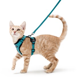 rabbitgoo Cat Harness and Leash for Walking, Escape Proof Soft Adjustable Vest Harnesses for Cats, Easy Control Breathable Reflective Strips Jacket, Teal, S