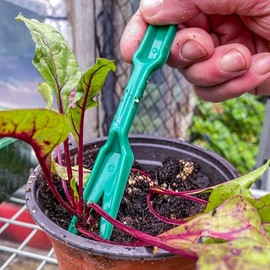 Simply Garden Widger and Dibber Set Easy Transplanting Sowing Seeds Seedlings Bulbs With Measurements On Dibber