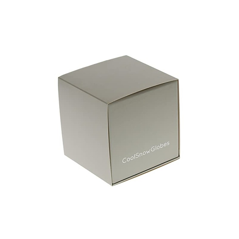 Snow Globe with Cat in Box by CoolSnowGlobes