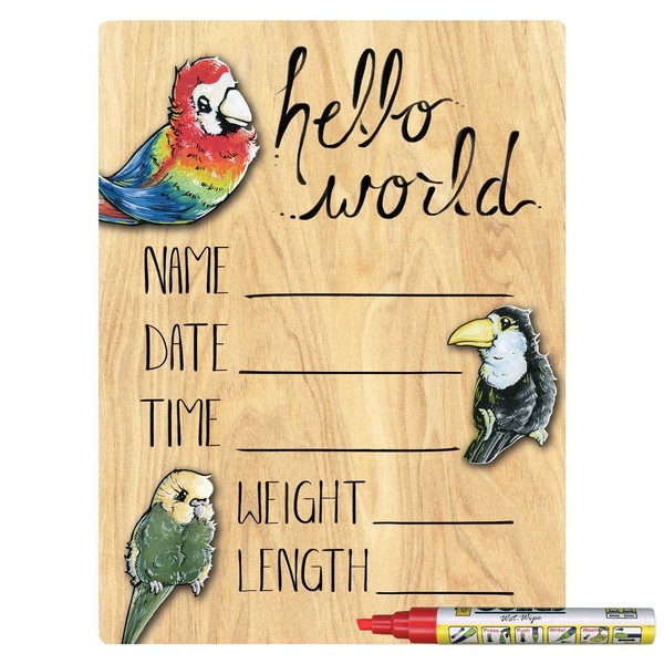 Cohas Hello World Newborn Baby Announcement Printed Wood Sign with