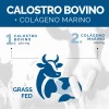 Calostro Bovino 1000 Mg Grass Fed Libre de Pastoreo Colostrum