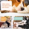 Suitical Recovery Sleeve for Dogs | Front Leg Protection After
