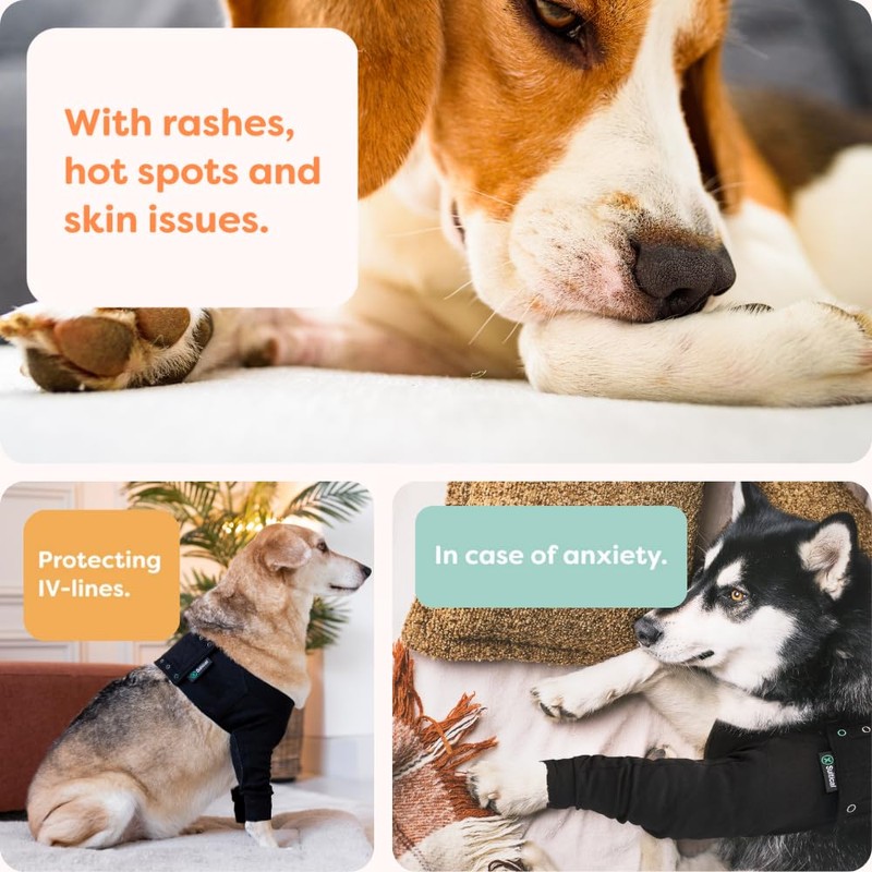 Suitical Recovery Sleeve for Dogs | Front Leg Protection After