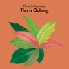 Choice Organics - Organic Oolong Tea (1 Pack) - Fair