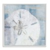 Stupell Industries Pastel Blue Sand Dollar Seashell Framed Giclee Art,