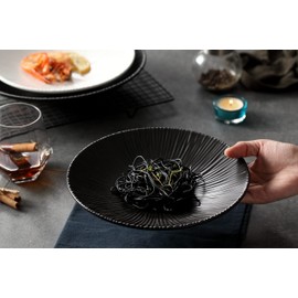 Jusalpha Set of 4-Japanese Style Porcelain Dinner Plates, Versatile Circular Serving Plates for Breakfast, Salad, Steak Dinner, PL018 (10.3 Inches, Black)