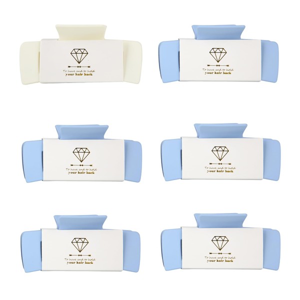 Loanzeg Bridesmaid Hair Claws Bachelorette 4.1 Inch Square Hair Clips