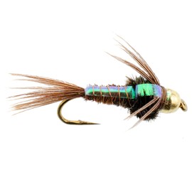The Fly Fishing Place Tungsten Bead Head Nymph Fly Fishing Flies - Flashback Pheasant Tail Trout Fly - Nymph Wet Fly - 12 Flies Hook Size 16
