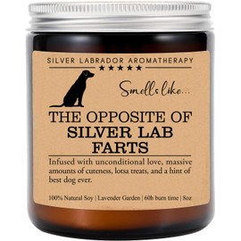 Silver Labrador Candle, Silver Labrador Funny Dog Gift, Silver Labrador Mom, Silver Labrador Dog Candle, Birthday Gift, Silver Labrador Owner Gift, Dog Lovers Gift, Silver Labrador Parents Day Gift