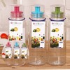 NeoClean Oil & Syrup Storage Bottle (200ml) Oil Bottle 2ea