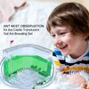 Sand Ant Farm - Habitat Educational & Learning Science Kit