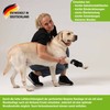 Nature Pet Medium Rehab Bandage for the Front of the