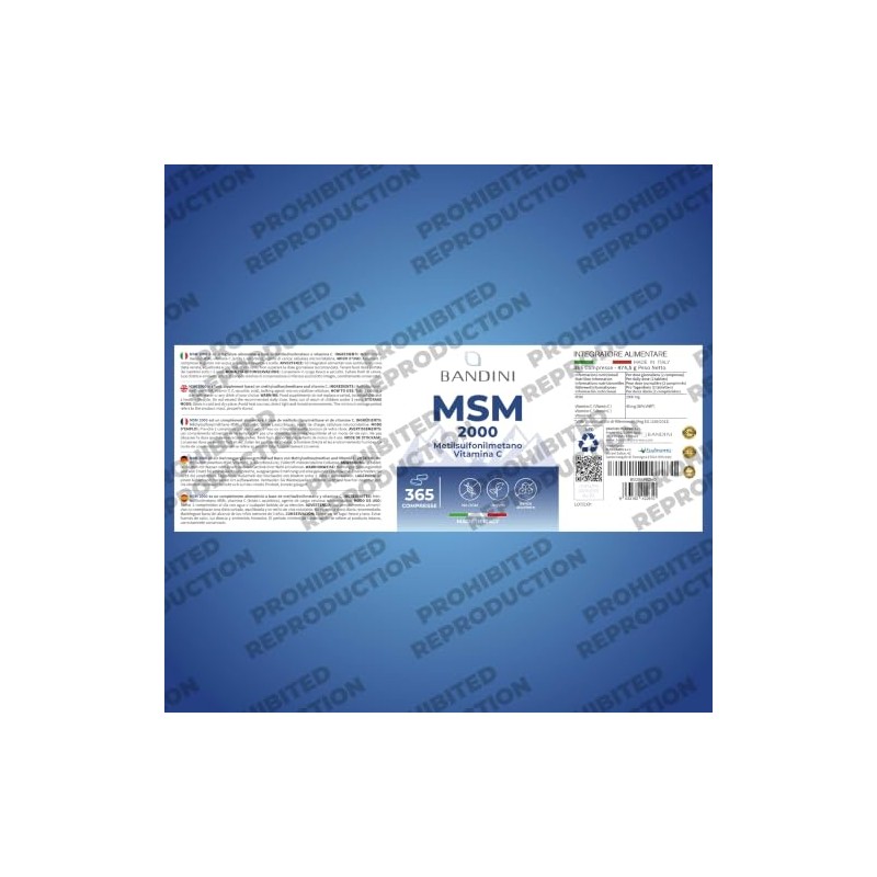 Bandini® MSM 2000 mg - 365 High Strength Tablets -