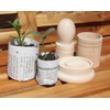 Greena® Seedling Paper Potter - Makes 2 Sized Paper Pots!