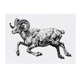 'Aries Ram Jumping' Temporary Tattoo - Water Resistant, Skin-Safe, Non-Toxic Transfer (TO00074595)