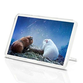 1 x Fridge Magnet -Pretty Guinea Pig Funny Love Classic Fridge Magnet - Kids 2036