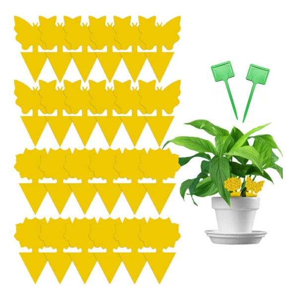 Yellow fruit fly trap 20 sheets + 10 picks sticky