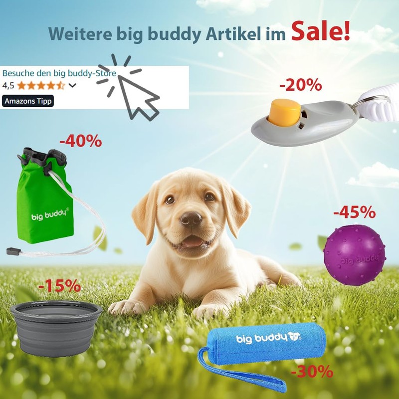 big buddy - Professional Behaviour Training Aid Clicker with Elasticated